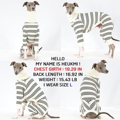 D Doggy Star Italian Greyhound Clothes Soft Stretchy Onesie Refined Stripe Outfit Whippet for Dog Coat (M,Onsi Black Str) — view 2