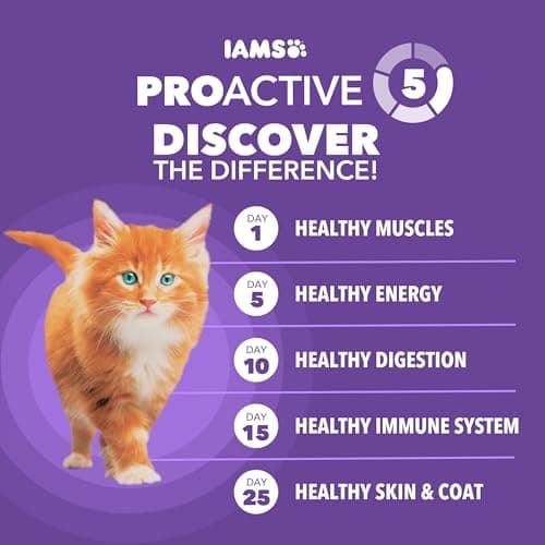 IAMS Proactive Health Kitten Dry Cat Food, Healthy Kitten Food Dry Recipe with Real Chicken in Every Bite, 3.5 Lb. Bag — view 4