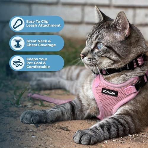 Voyager Step-in Lock Adjustable Cat Harness w. Cat Leash Combo Set with Neoprene Handle 5ft - Supports Small, Medium and Large Breed Cats by Best Pet Supplies - Pink, XS — view 4