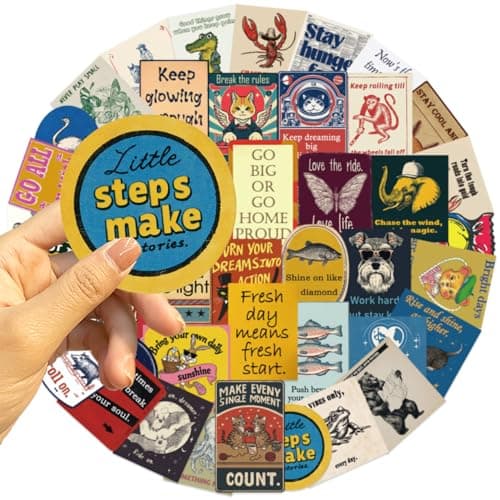 100 PCS Funny Stickers for Adults, Waterproof Vinyl Sticker Pack, Vintage Patchwork Positive + Chaos Meme Negative, Positive + Negative Contrast Decals for Laptop, Water Bottle, Journal — view 3