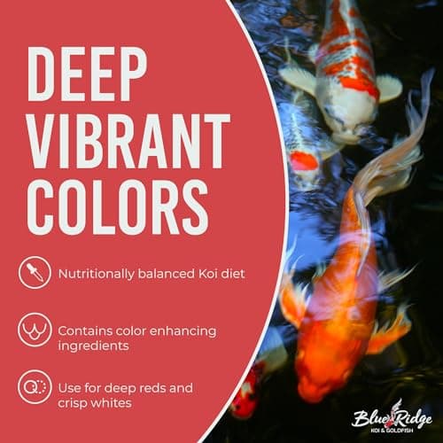 Blue Ridge Koi Fish Food 4.5lb - Koi Food 3/16” Platinum Pro Formula Goldfish Food, Premium Fish Food for Ponds, Ponds Fish Food, Floating Pond Pellet — view 4