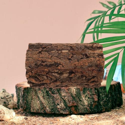 POPETPOP Reptile Hideout Hollow Tree Trunk Log for Tarantula and Reptiles with Natural Wood Material — view 5