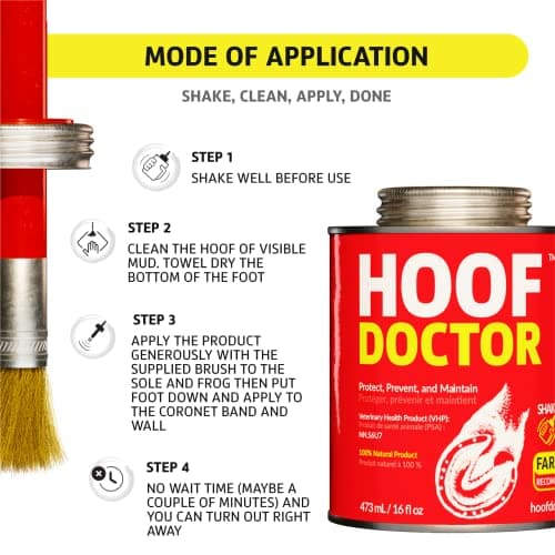 Hoof Doctor Oil - White Line | Thrush | Abscesses | Quarter Crack | Seedy Toe | Corns and Sole Bruises - 100% All-Natural Hoof Care Product - Birch Bark Extract, Betulin, Omega-3 with Vitamins A & D — view 2
