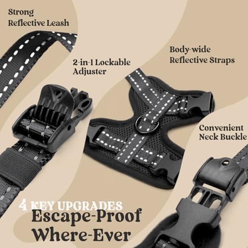 rabbitgoo Cat Harness and Leash, Easy-on with Neck Buckle, Black — view 2