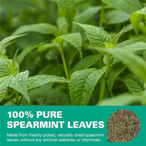 WT WEETEE Spearmint Tea Bags, Made with 100% Pure Spearmint Leaf, Natural Caffeine-free Herbal Tea, Refreshing & Smooth Mint Tea — view 2