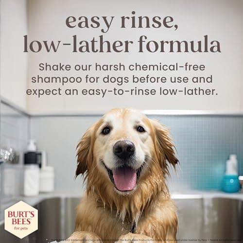 Burt's Bees for Pets Manuka Honey Tearless 2-in-1 Dog Shampoo and Conditioner, with Jojoba Oil, 95% Natural Origin, Free of Sulfates, Milk and Honey Scent, 16 Fl Oz — view 2
