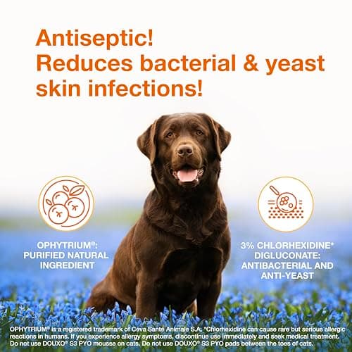 Douxo S3 Pyo Shampoo, Contains 3% Chlorhexidine & 0.5% Ophytrium, Antiseptic & Hydrating, for Bacterial or Yeast Skin Infections, for Dogs and Cats, 6.7 fl. oz. (200mL)