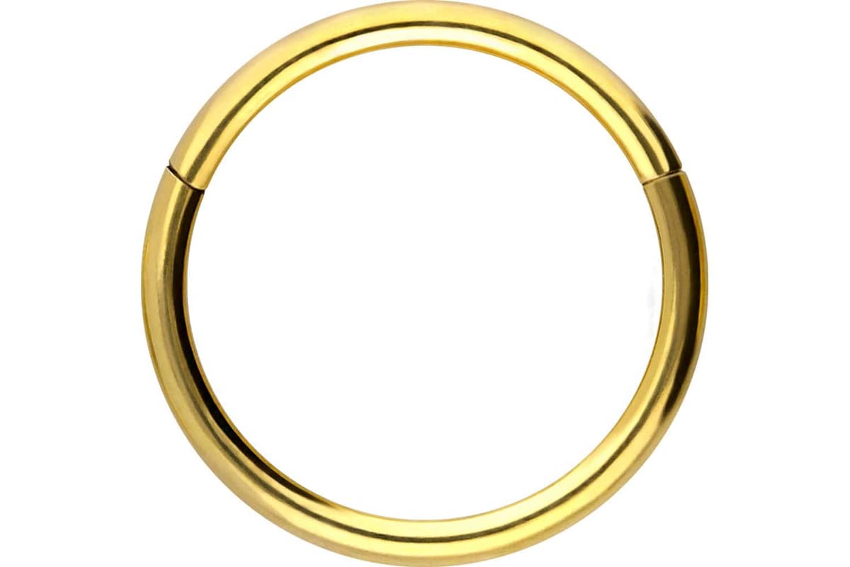 PIERCINGLINE Anillo segmento Clicker de acero quirúrgico – Piercing en oro, plata, rosa, negro o azul – para nariz, tabique, oreja, hélice o tragus — view 75