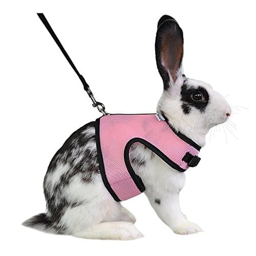Niteangel Adjustable Soft Harness with Elastic Leash for Rabbits (Pink, Large)