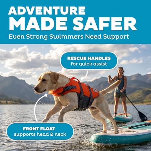 Outward Hound Granby Splash Orange Dog Life Jacket, Large