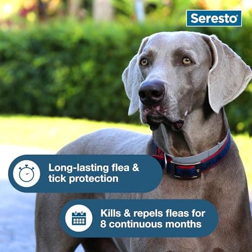 Seresto Flea & Tick Collar For Dogs Over 18 lbs., Treatment & Prevention, Vet-Recommend, 8 Month Protection — view 5