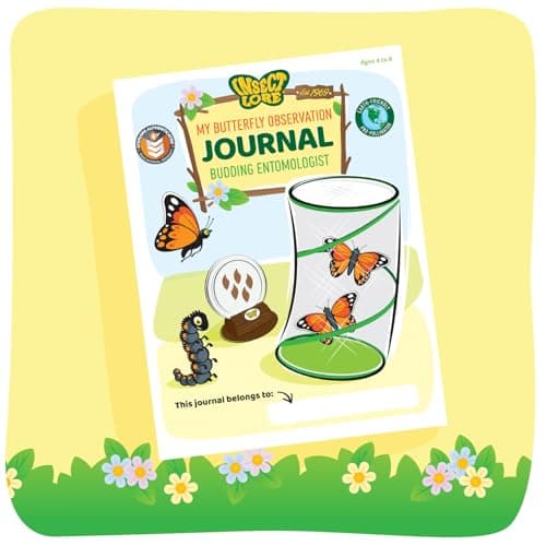 Insect Lore Raise and Release Butterfly Garden Kit – Caterpillar Habitat with redeemable Voucher – STEM-accredited Butterfly Growing Kit for Kids, Classrooms, and Homeschool Learning — view 3