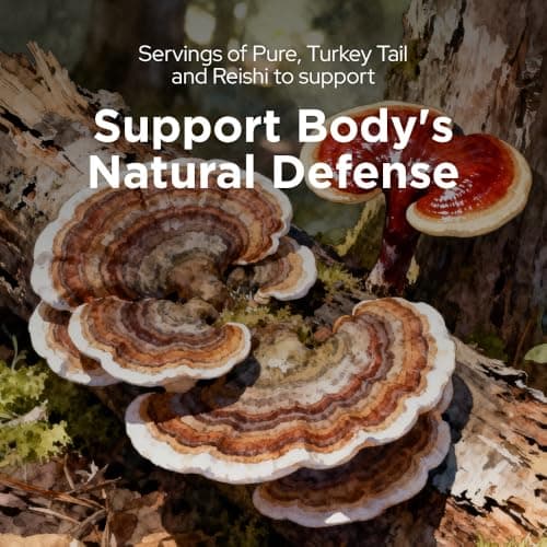 Petpal Turkey Tail Powder with Reishi | Pure Mushroom Powders with Beta Glucans | Lumps, Warts, Bumps | Superfood Topper | Organic | 60g — view 3