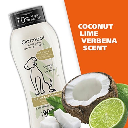 Wahl USA Dry Skin & Itch Relief Pet Shampoo for Dogs – Oatmeal Formula with Coconut Lime Verbena Scent & Pet Friendly Formula, 24 Oz - Model 820004A — view 7