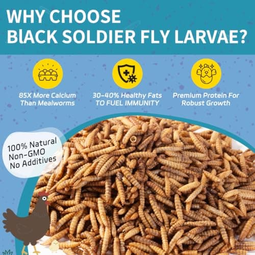 OHNAME 10LB Dried Black Soldier Fly Larvae for Chickens - 85X More Calcium Than Mealworms for Strong Eggshells, High-Protein Chickens Treats for Laying hens, Birds, Ducks