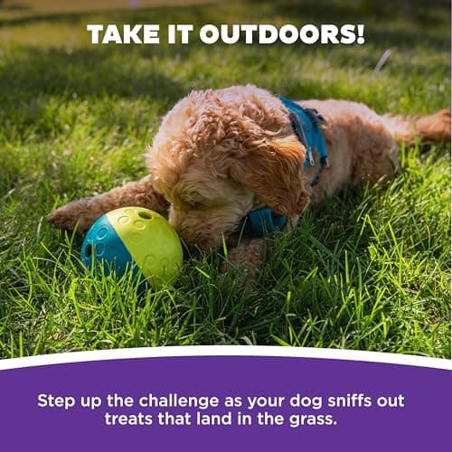 Outward Hound by Nina Ottosson Treat Tumble Interactive Puzzle Ball Dog Toy, Level 1 Beginner, Blue, Small — view 4