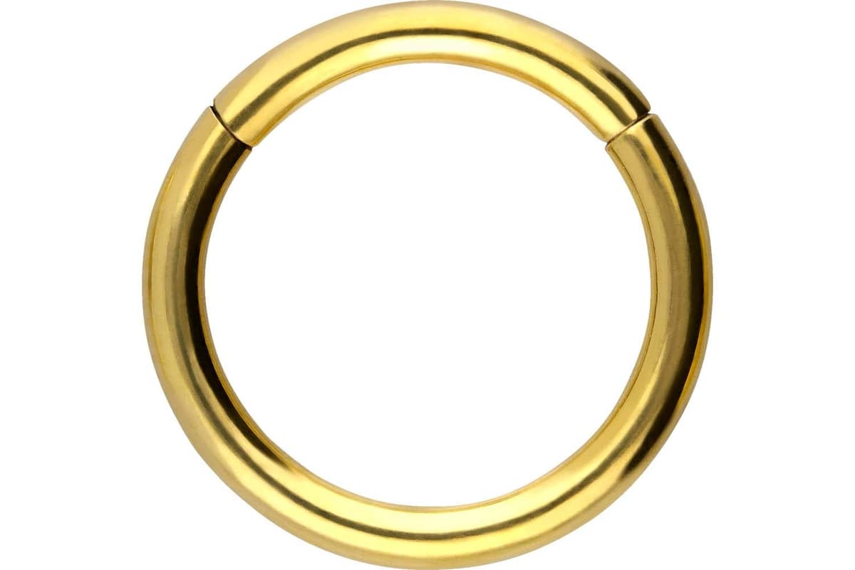 PIERCINGLINE Anillo segmento Clicker de acero quirúrgico – Piercing en oro, plata, rosa, negro o azul – para nariz, tabique, oreja, hélice o tragus — view 116
