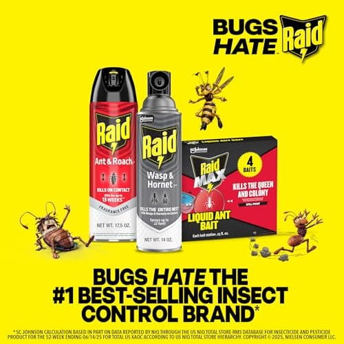 Raid Ant & Roach Killer 26, Fragrance Free Bug Killer for Home Use, Kills Bugs on Contact, Roach and Ant Spray, 17.5 Oz, 2 Count — view 8