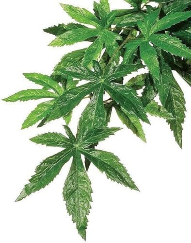 Exo Terra Silk Plant - Abutilon - Medium — view 3