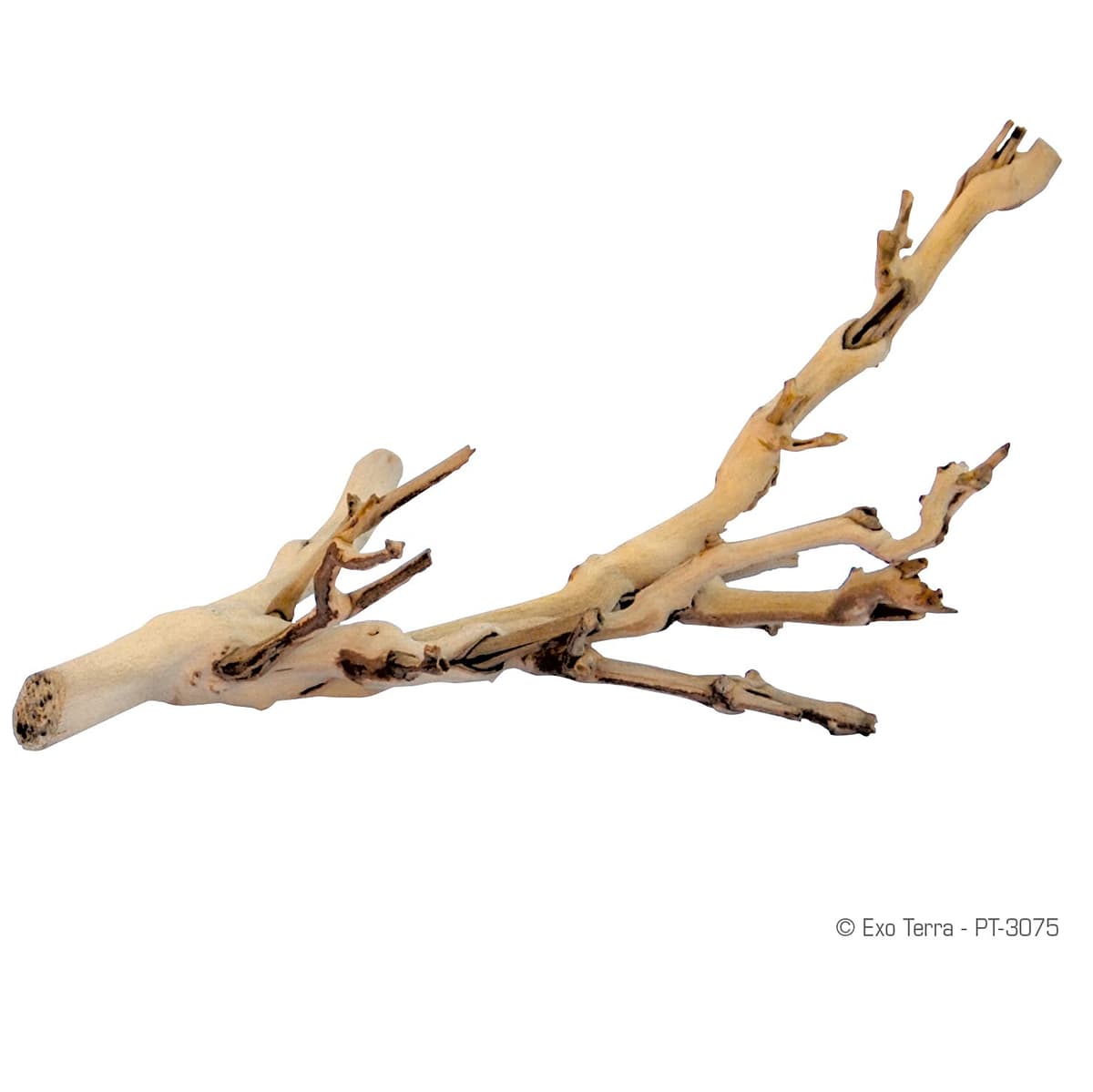 Exo Terra Forest Branch, Small (Exact Size May Vary) — view 2
