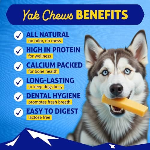 Himalayan Dog Chew Peanut Butter Yak Cheese Dog Chews, The Better-for-You Chew, 100% Natural Long Lasting, Healthy Dog Treats, Lactose & Grain Free, Protein Rich, for Dogs 65 Lbs & Smaller, 2-Count