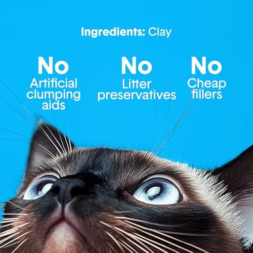 Boxie® Unscented 30 Day Odor Control Clumping Clay Cat & Kitty Litter 16 lb, 99.9% Dust-Free, Hard Flat Top® Clumps, No Fragrances No Fillers, Long-Lasting, Easy to Scoop — view 3