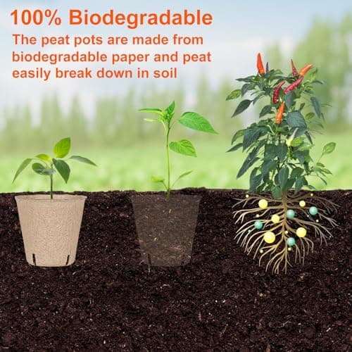 JNYONG 60 Packs 3.15 Inch Peat Pots,Biodegradable Pots for Seedlings with Drainage Holes, Garden Germination Nursery Pots with 50Pcs Plant Labels — view 5