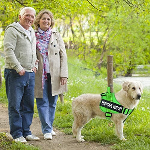 voopet Service Dog Harness, No-Pull Emotional Support Pet Vest Harness, Reflective Breathable and Adjustable Pet Halters for Small Medium & Large Dogs (with 4 PCS Removeable Tags) — view 5