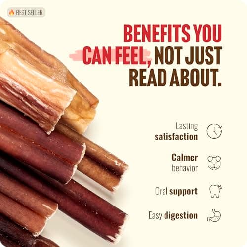 Natural Farm Odor Free Bully Sticks (2-3 Inch, 1 Pound) for Small & Medium Dogs - 100% Beef Chews for Pups, Non-GMO, Grain-Free, Fully Digestible Long Lasting Dog Treats — view 5