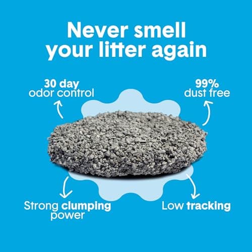 Boxie® Unscented 30 Day Odor Control Clumping Clay Cat & Kitty Litter 16 lb, 99.9% Dust-Free, Hard Flat Top® Clumps, No Fragrances No Fillers, Long-Lasting, Easy to Scoop — view 2