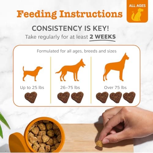 Zesty Paws Probiotics for Dogs, Digestive Enzymes Gut Flora, Digestive Health, Diarrhea & Bowel Support, DE111, Dog Probiotics Soft Chew for Pet Immune System, Chicken, 50 Ct — view 3