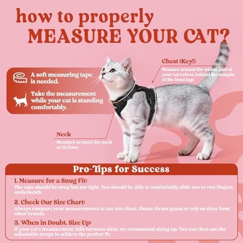 rabbitgoo Cat Harness and Leash for Walking, Escape Proof Soft Adjustable Vest Harnesses for Small Medium Cats, Easy Control Breathable Reflective Strips Jacket, XXS, Black