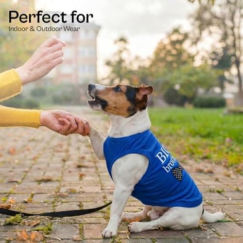 Parisian Pet Dog T-Shirt with Embroidered ' Big Brother ' Words - 100% Cotton, Big Brother Dog Shirt - Sleeveless Pet Vest - Machine Washable Blue Dog Shirts for Small Dogs XXS — view 3
