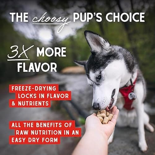 Stella & Chewy's Freeze-Dried Raw Chicken Meal Mixers- Dog Food Topper and Mixer - Made with 95% Cage-Free Chicken, Organs & Bone - Perfect for Picky Eaters - Grain-Free - 1oz — view 5