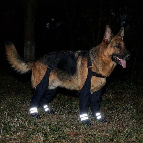 Dog Suspender Boots for Large Dogs – Waterproof & Non-Slip Dog Paw Protectors with Adjustable Straps & Reflective Strips, All-in-One Connected Dog Boots for Outdoor Walks, Snow, Rain, Hiking (L) — view 2
