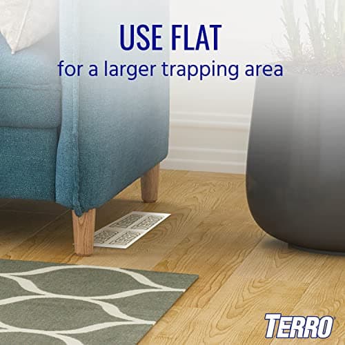TERRO T3206CAN 4-Pack Spider & Insect Trap — view 7