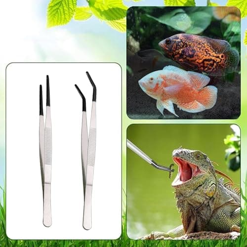 2 Piece Stainless Steel Reptile Feeding Tongs with Rubber Tips, 9.8" Straight Tweezers and Curved Tweezers - Bearded Dragon and Lizard Feeding Tools - Terrarium Supplies — view 2