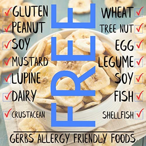 Gerbs Banana Chips Unsweetened, 2 LBS – Unsulfured & Preservative Free - Top 14 Allergy Friendly & Non GMO - Product of Philippines — view 2