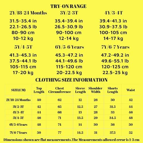 Toddler Boy Summer Outfits Clothes, Kids Boys Short Sleeve Cotton T-Shirt and Shorts Clothing Sets 2-7T (4-5T, Blue Dinosaur) — view 6