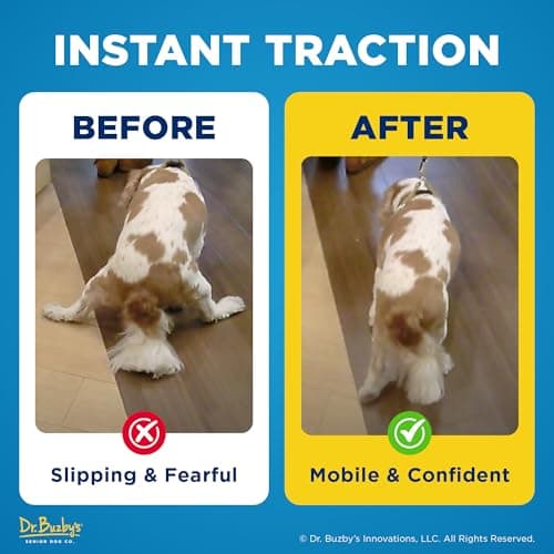 Dr Buzby's Large ToeGrips for Dogs - Instant Traction on Wood/Hardwood Floors - Anti Slip Relief - Grippers for Senior Dogs - Stop Sliding Instantly - Rubber Nails for Paws - 1 Pack (20 Grips) — view 2