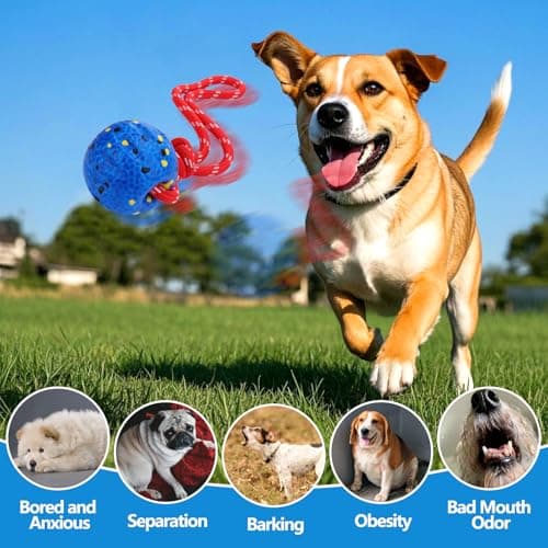 Mity rain Floating Dog Toys –E-TPU Water Pool Fetching Toy with Rope — view 2