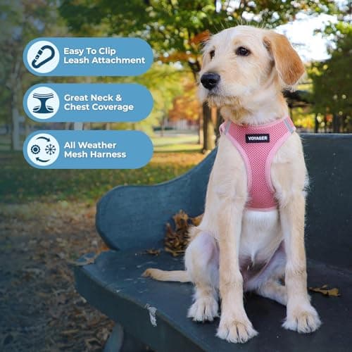 Best Pet Supplies Voyager Step-in Air Dog Harness - All Weather Mesh, Reflective, No Pull Harness for Small, Medium Dogs, Cats - Secure with Hook & Loop Fastener, Buckle, Double D-Rings - Pink, S — view 2