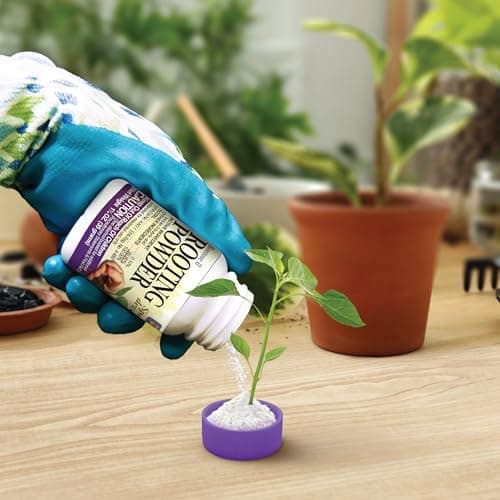 Bonide Bontone II Rooting Powder, 1.25 oz Ready-to-Use Dust for Houseplants and Transplants Speeds Root Development — view 5