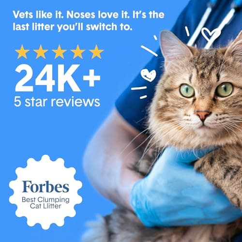 Boxie® Probiotic Cat Litter 40 Day Natural Odor Control, 40lb Clumping Kitty Litter (Clay) — view 6