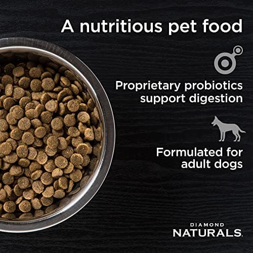 Diamond Naturals Adult Dry Dog Food Beef Meal and Rice Formula Made with Quality Pasture-Raised Beef Protein, Probiotics and Essential Nutrients — view 2