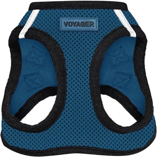 Best Pet Supplies Voyager All Weather No Pull Step-in Mesh Dog Harness with Padded Vest, Best Pet Supplies, Medium, Blue Base