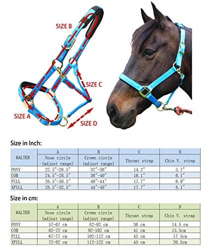 T TEKE Adjustable Horse Halter by Heavy Duty Soft Nylon, Padded with Anti-rubbing Waffle Neoprene on Both Crown & Nose — view 4