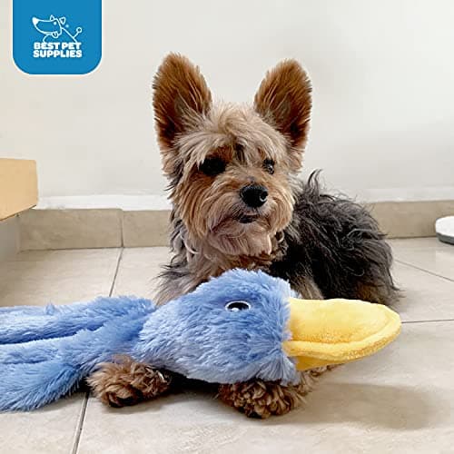 Best Pet Supplies Interactive Squeaky Dog Chew Toy, Ideal Dog Toys for Chewers, Small, Medium & Large Dogs, and Fetch Lovers - Crinkle Duck (Blue), Large — view 4