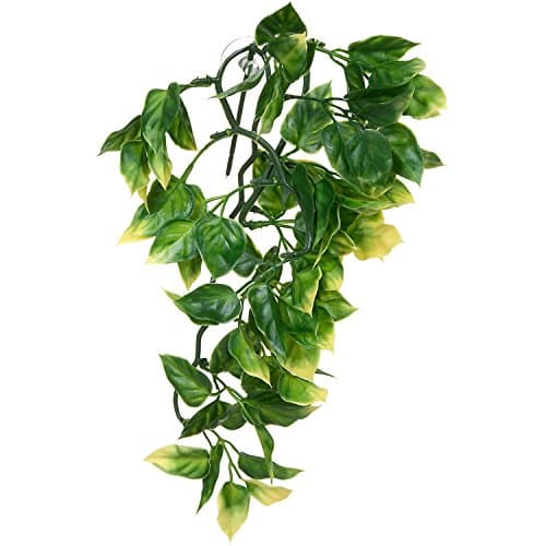 Exo Terra Jungle Plant - Amapallo - Small — view 3