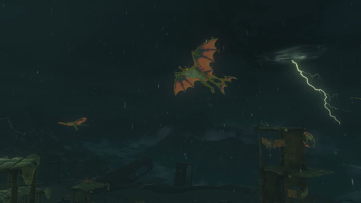 The Legend of Zelda: Tears of the Kingdom — view 2